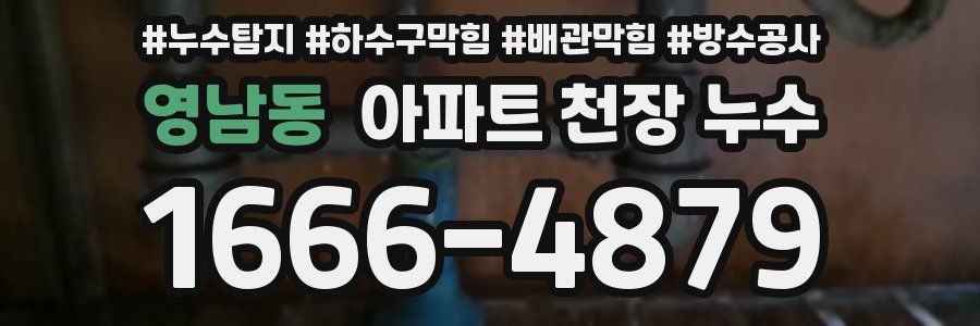 영남동 아파트 천장 누수