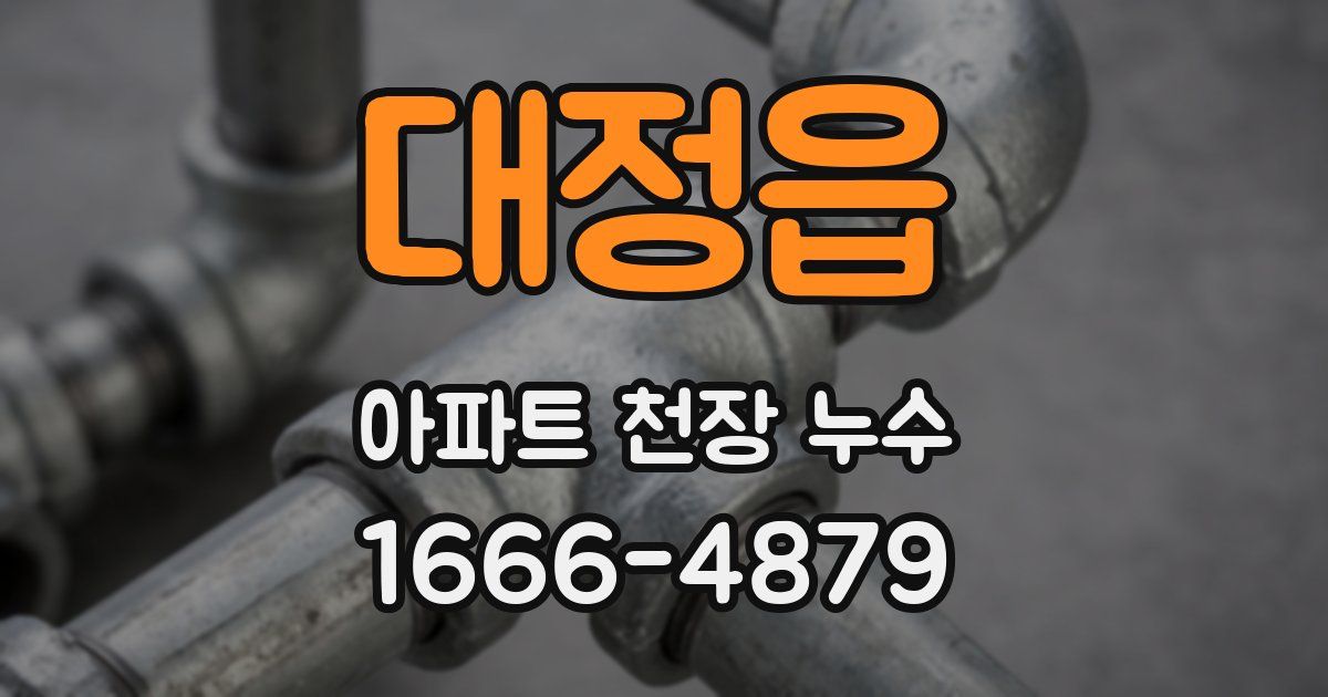 대정읍 아파트 천장 누수