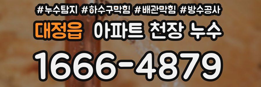 대정읍 아파트 천장 누수