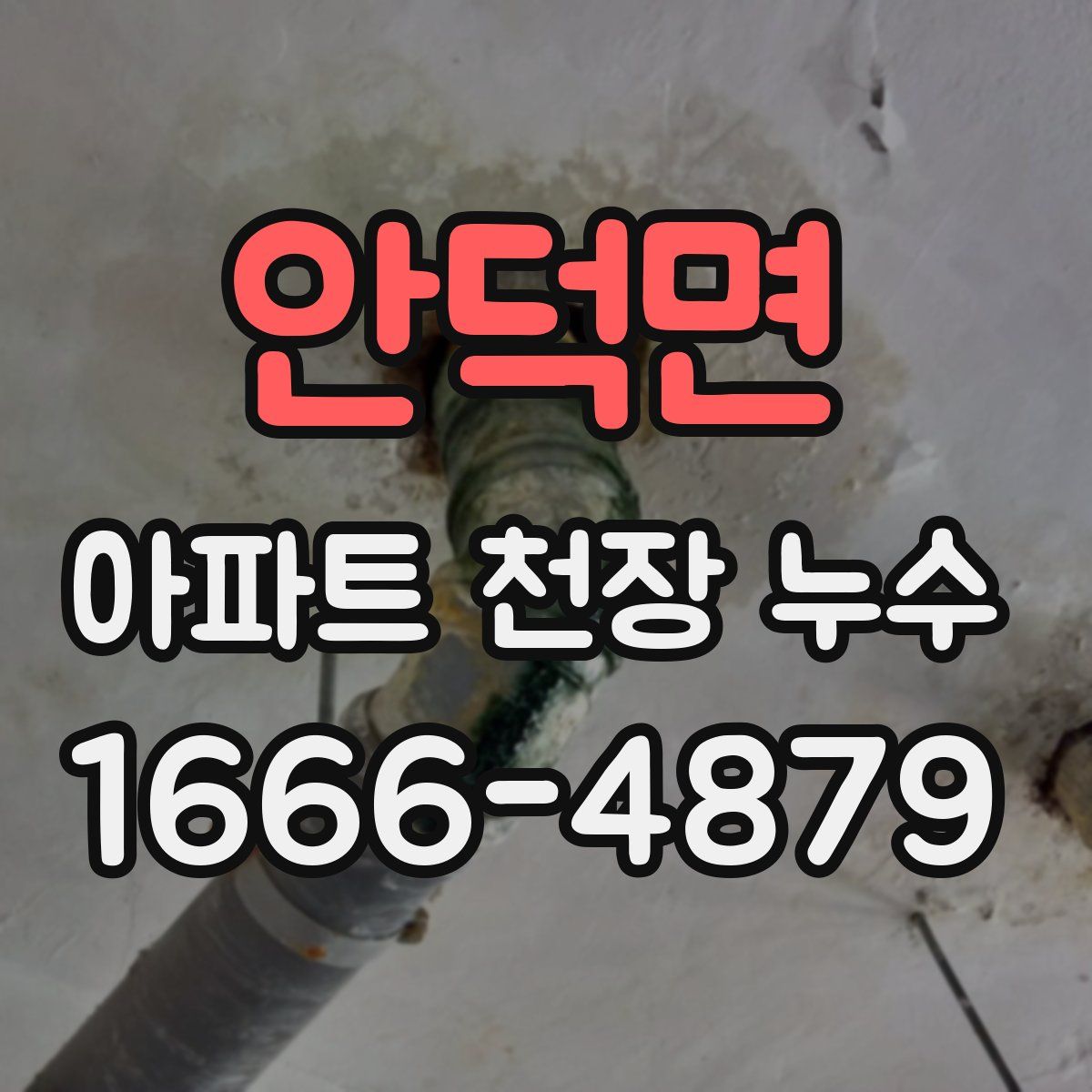 안덕면 아파트 천장 누수