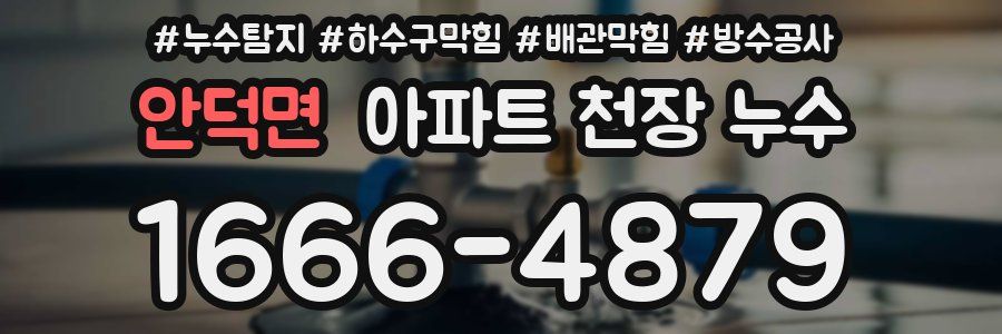 안덕면 아파트 천장 누수