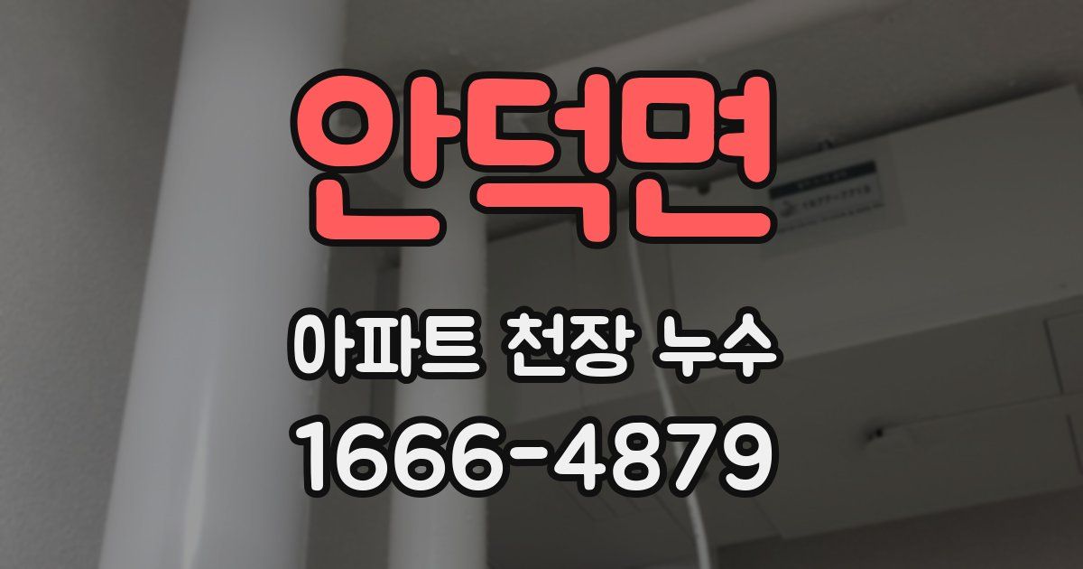 안덕면 아파트 천장 누수