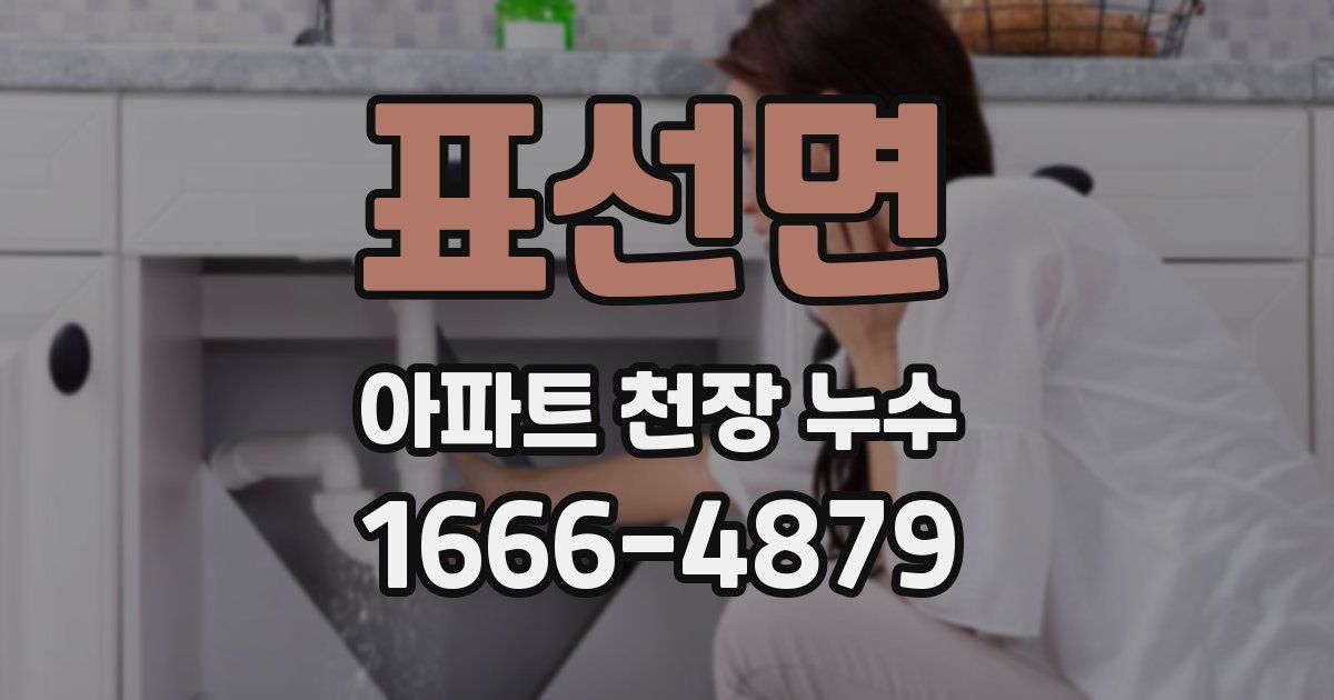 표선면 아파트 천장 누수