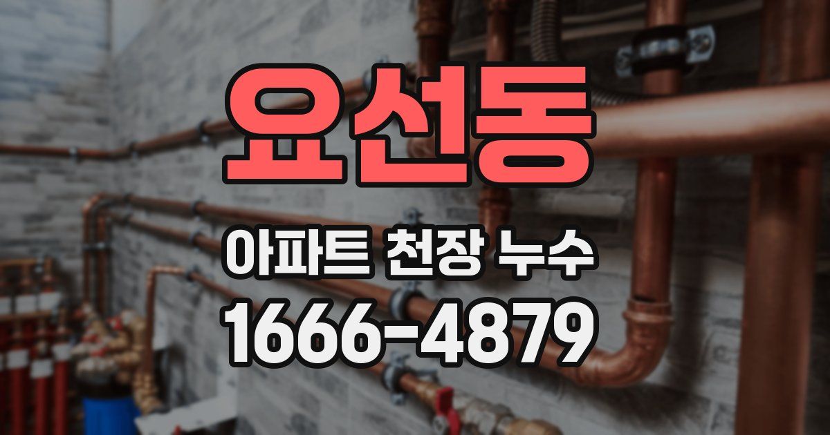 요선동 아파트 천장 누수
