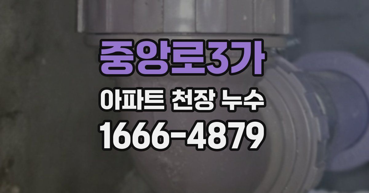 중앙로3가 아파트 천장 누수