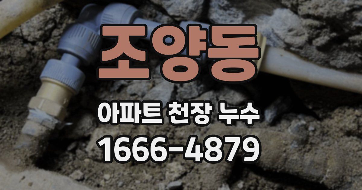 조양동 아파트 천장 누수