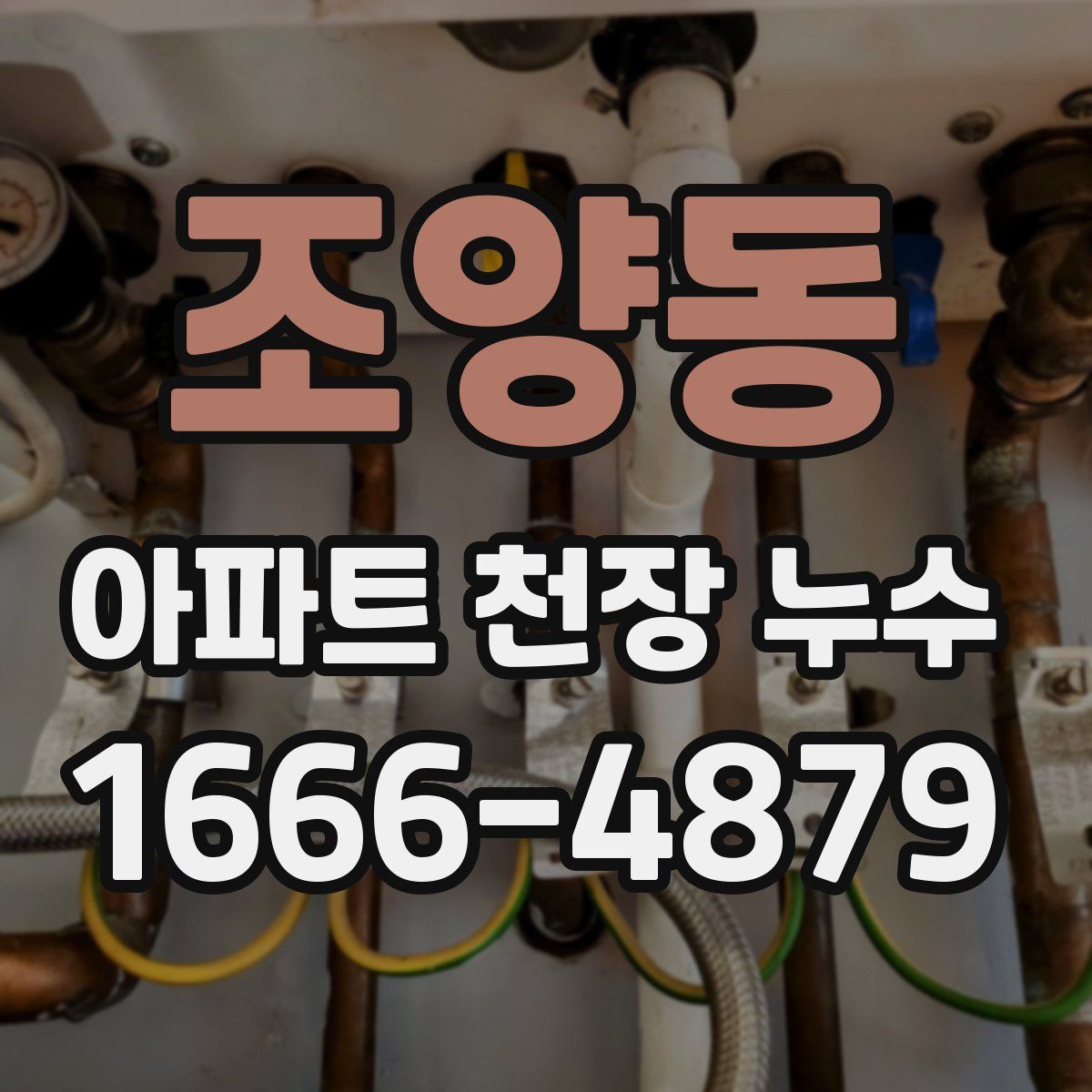 조양동 아파트 천장 누수