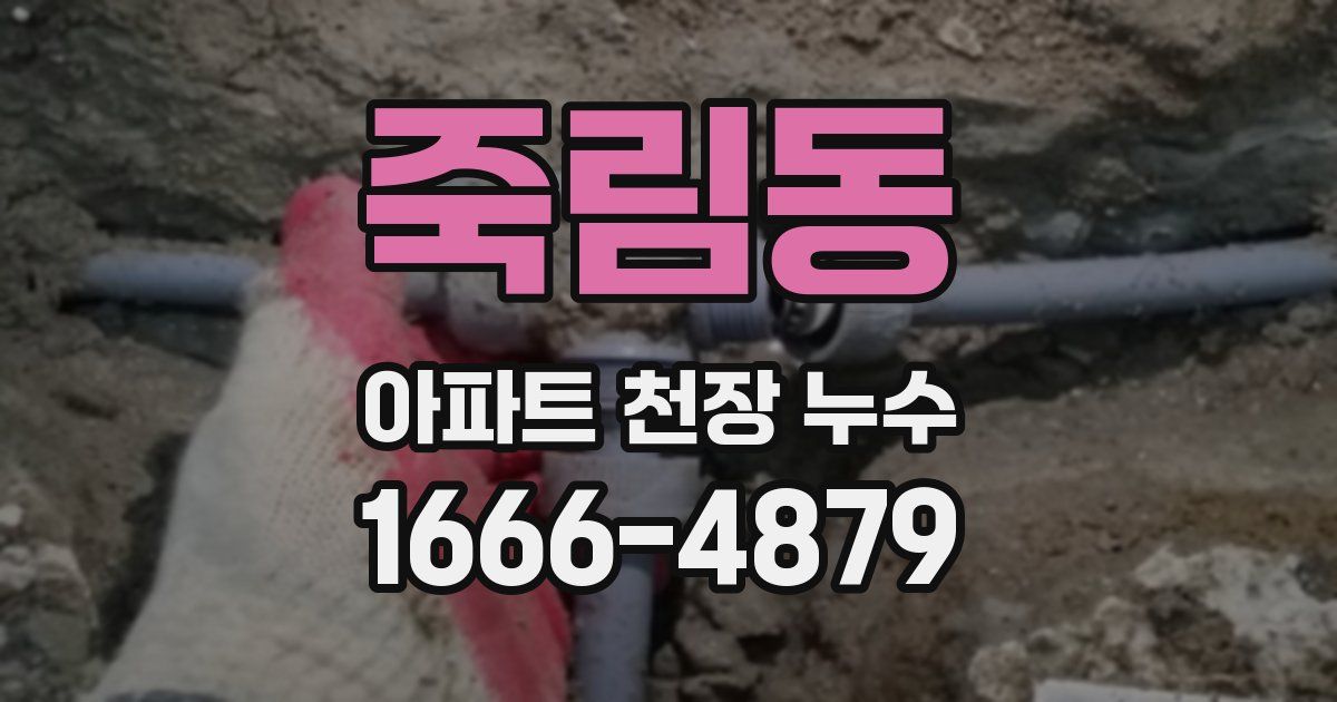 죽림동 아파트 천장 누수