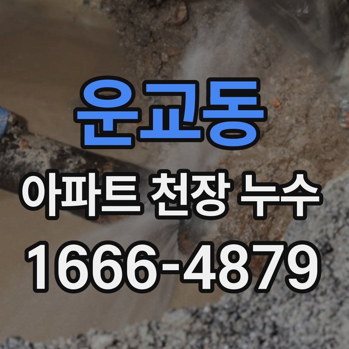 운교동 아파트 천장 누수
