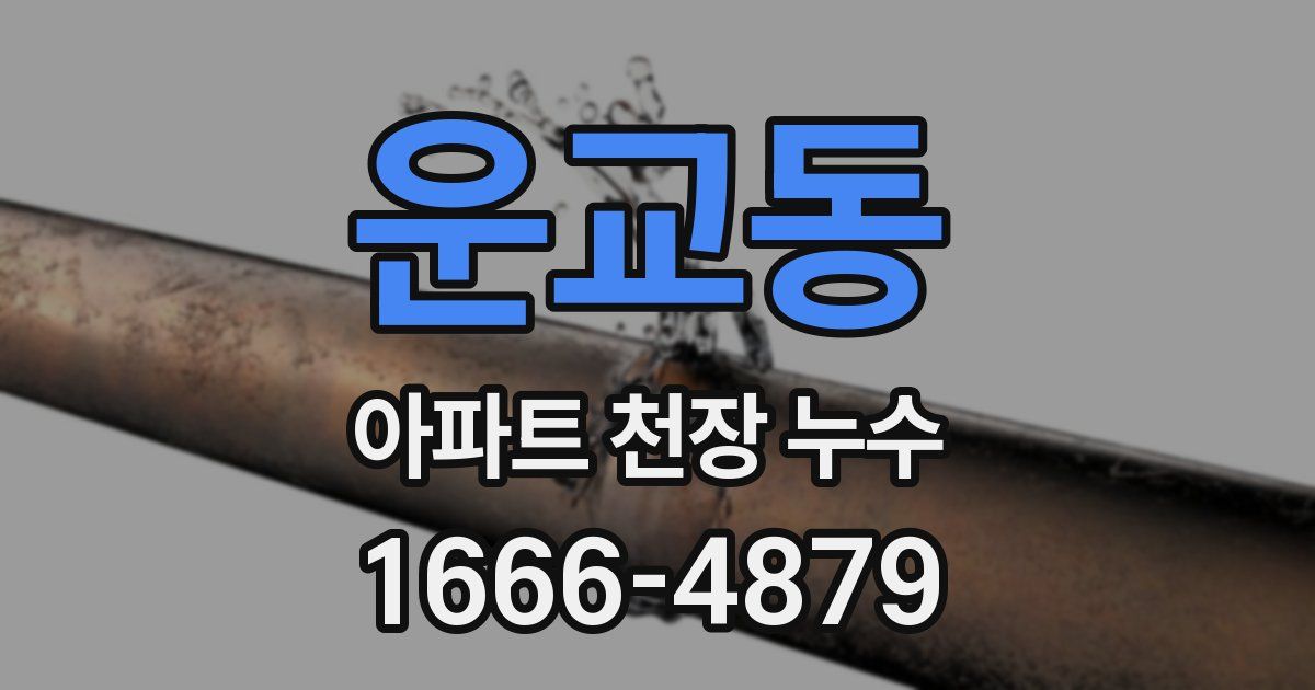 운교동 아파트 천장 누수