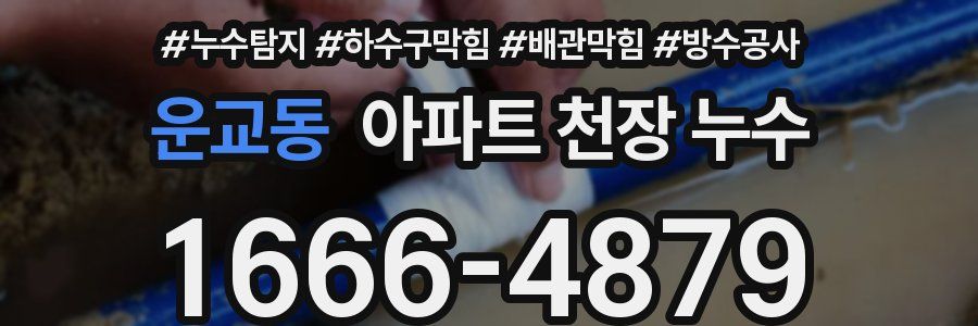 운교동 아파트 천장 누수