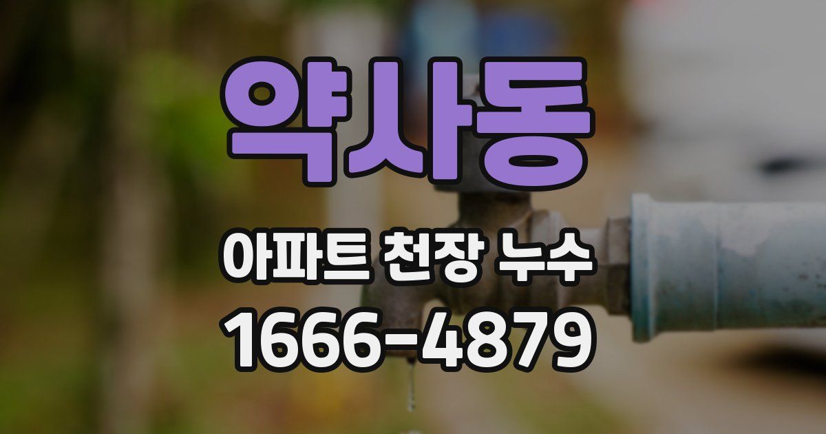 약사동 아파트 천장 누수