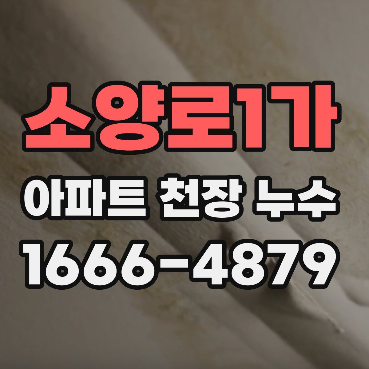 소양로1가 아파트 천장 누수