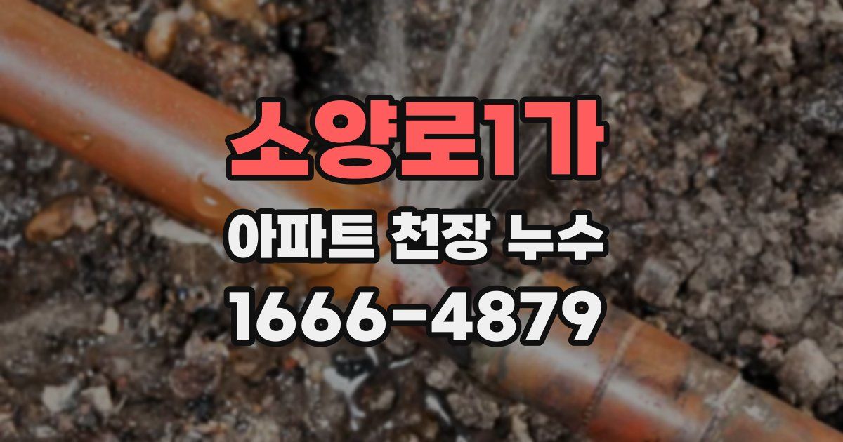 소양로1가 아파트 천장 누수