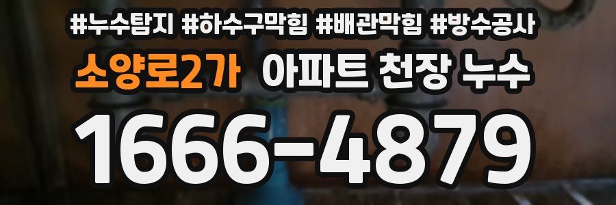 소양로2가 아파트 천장 누수