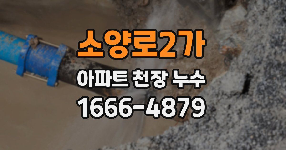 소양로2가 아파트 천장 누수
