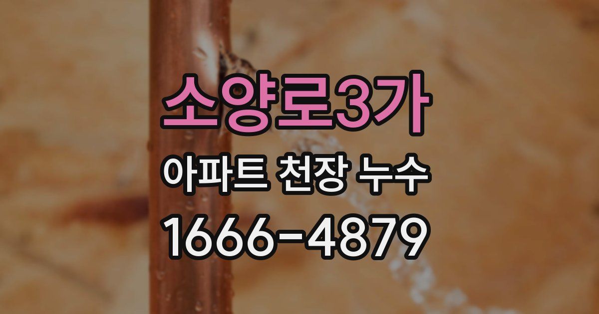 소양로3가 아파트 천장 누수