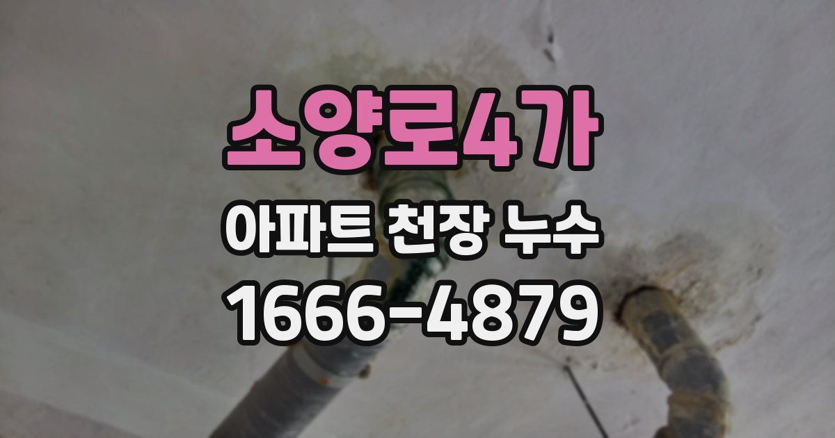 소양로4가 아파트 천장 누수