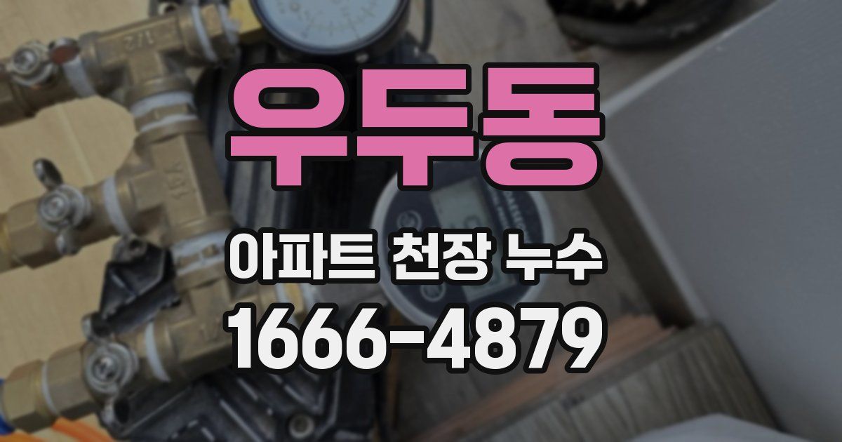 우두동 아파트 천장 누수