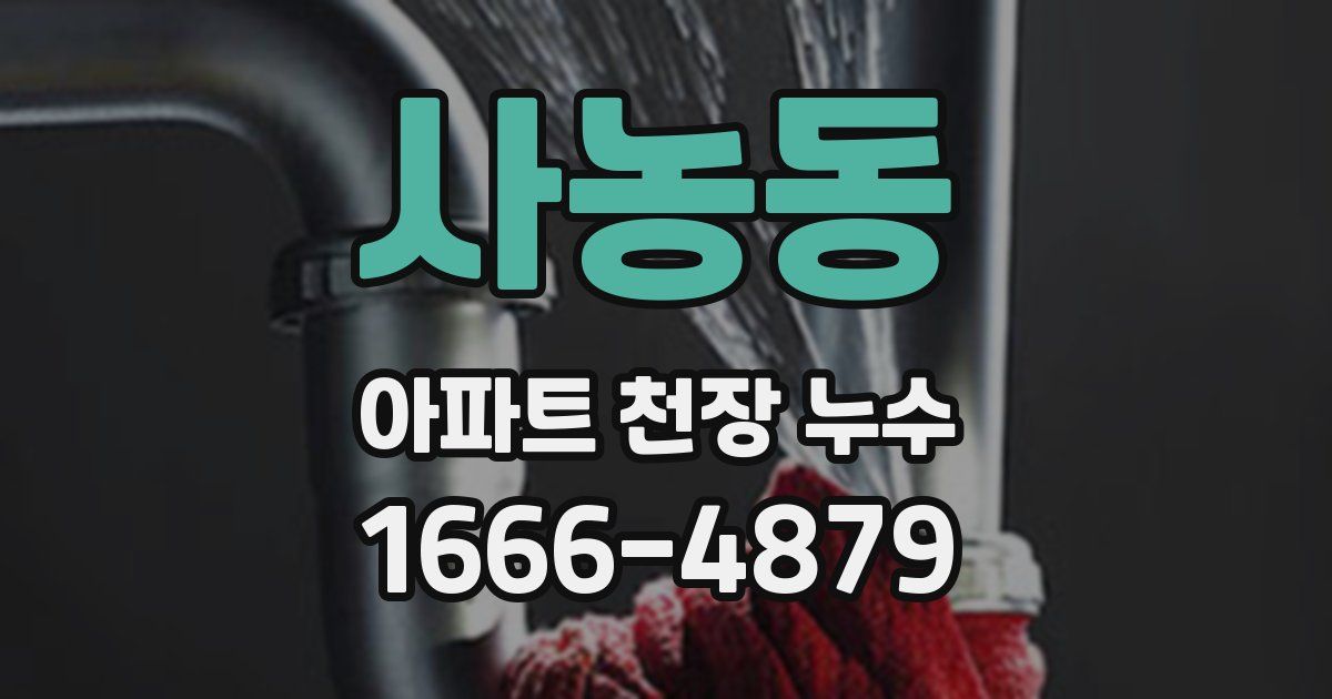 사농동 아파트 천장 누수
