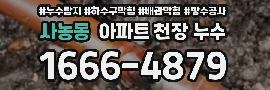 사농동 아파트 천장 누수