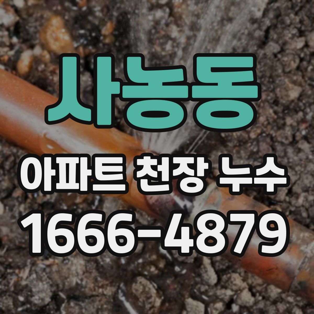 사농동 아파트 천장 누수