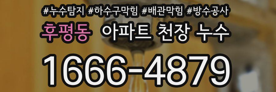 후평동 아파트 천장 누수