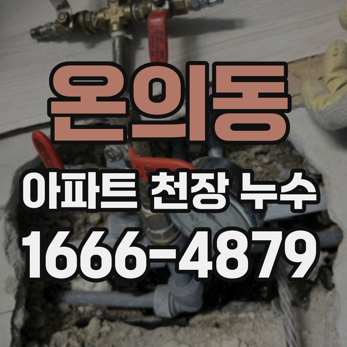 온의동 아파트 천장 누수