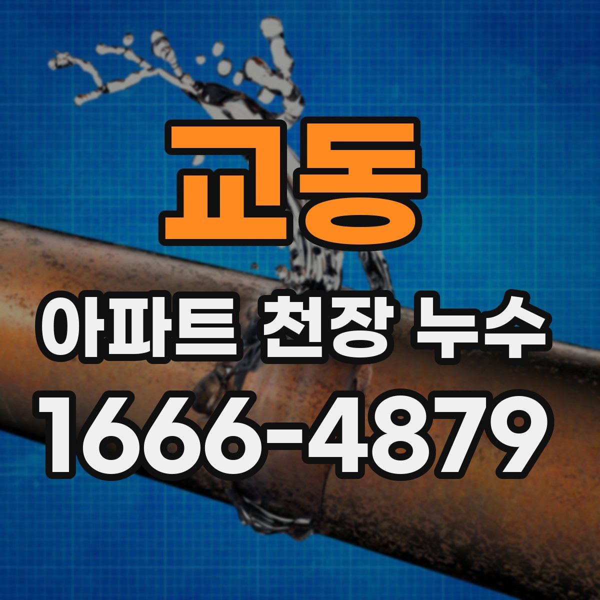 교동 아파트 천장 누수