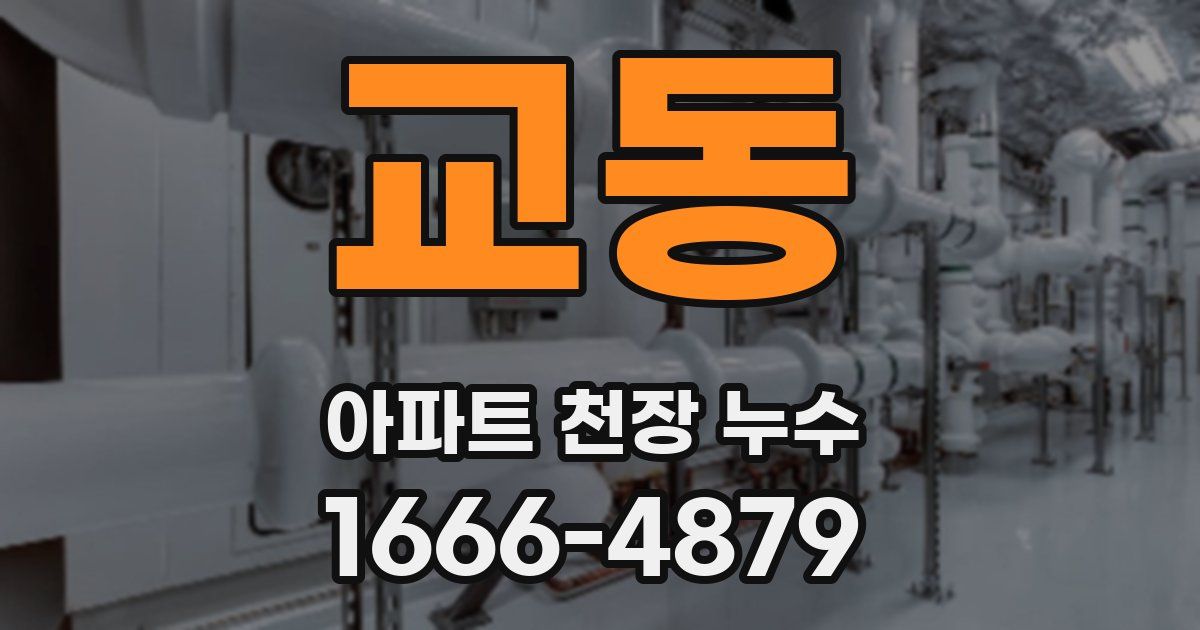교동 아파트 천장 누수