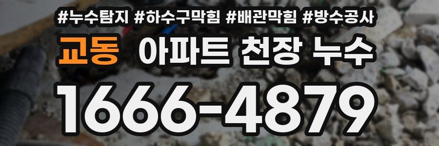 교동 아파트 천장 누수
