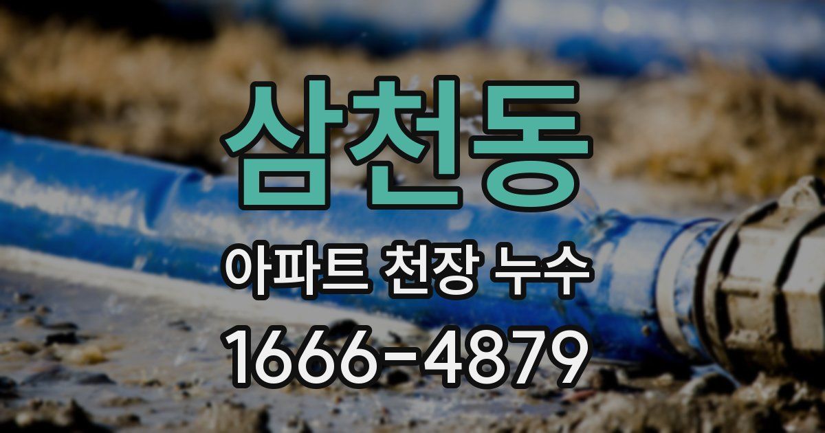 삼천동 아파트 천장 누수