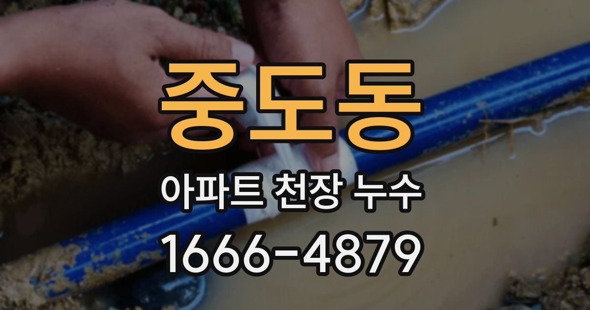 중도동 아파트 천장 누수