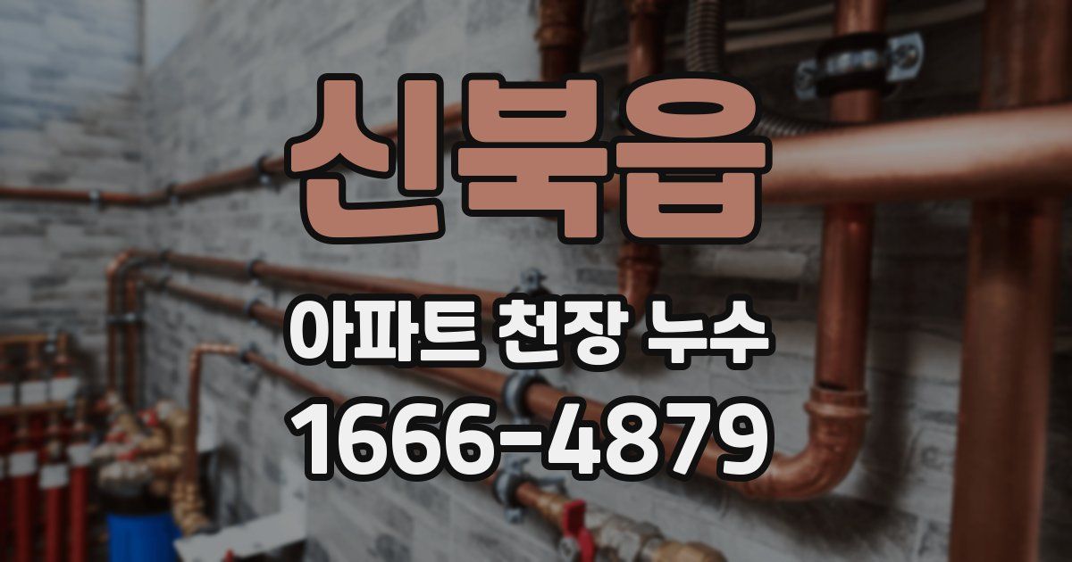 신북읍 아파트 천장 누수