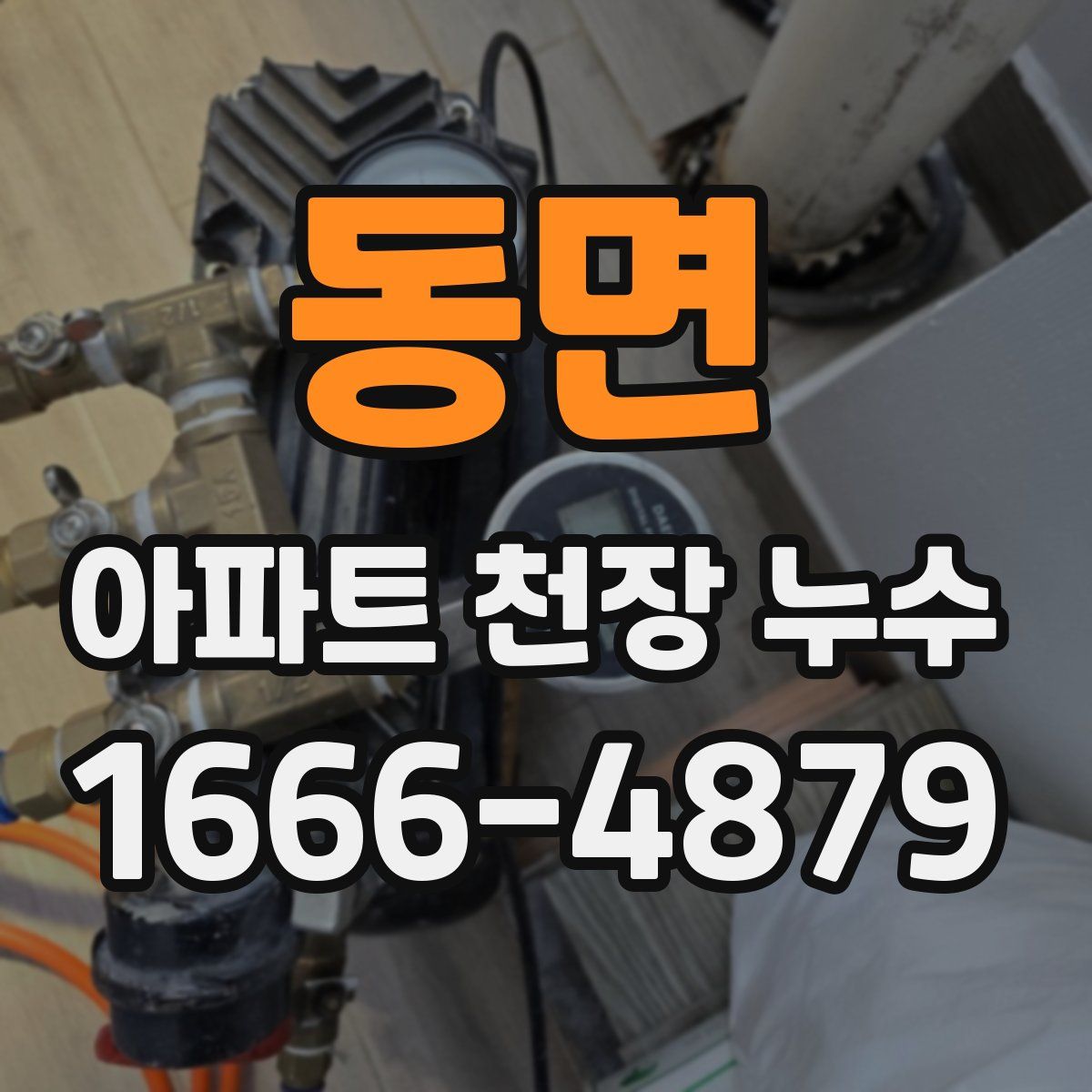 동면 아파트 천장 누수