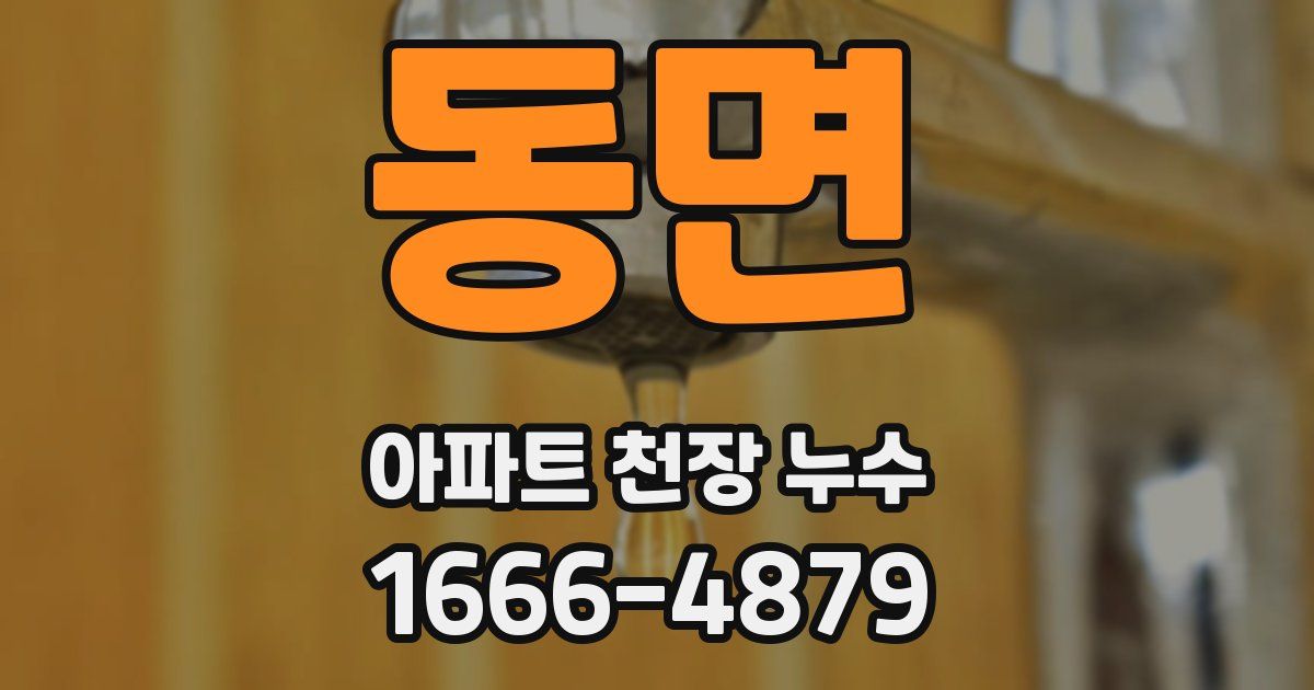 동면 아파트 천장 누수