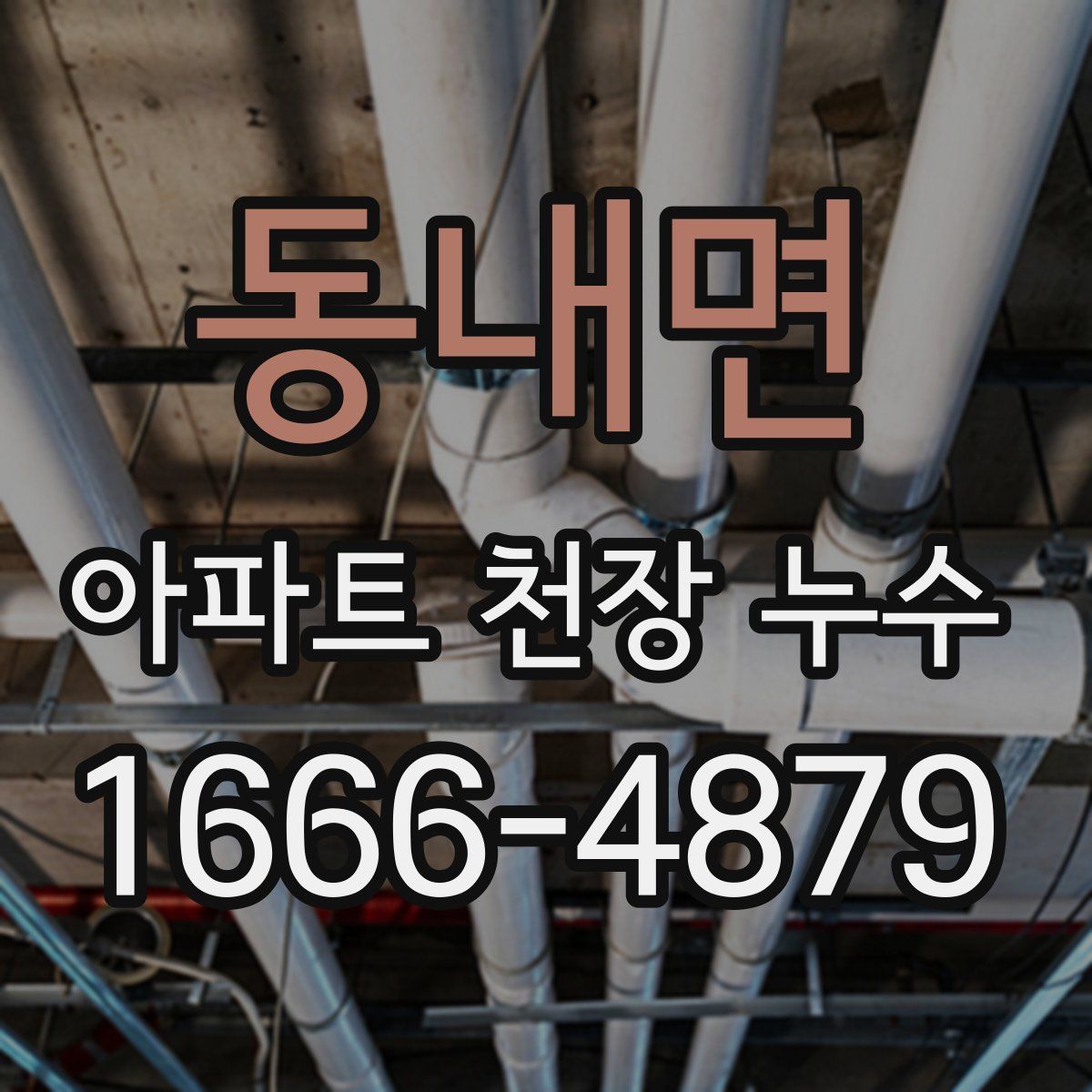 동내면 아파트 천장 누수
