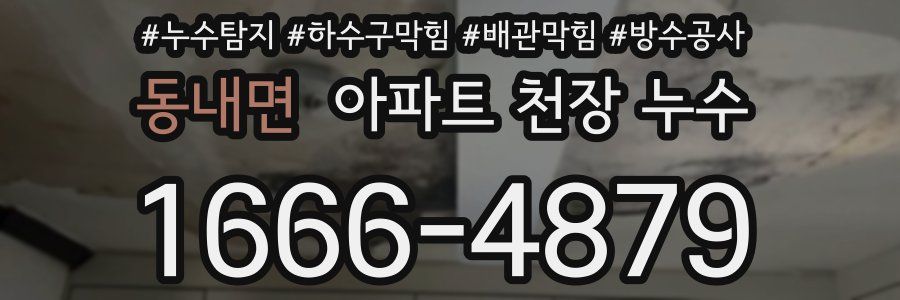 동내면 아파트 천장 누수
