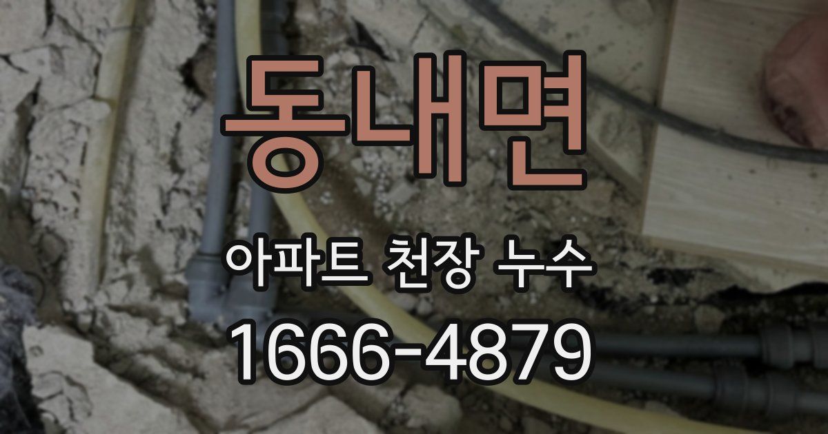 동내면 아파트 천장 누수