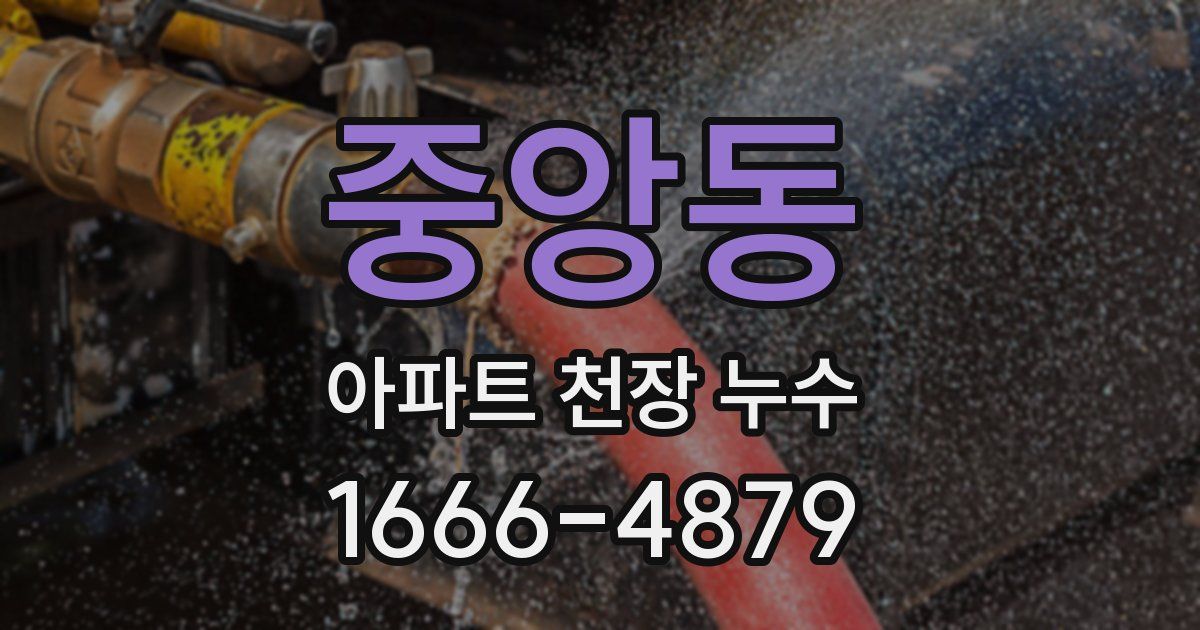 중앙동 아파트 천장 누수
