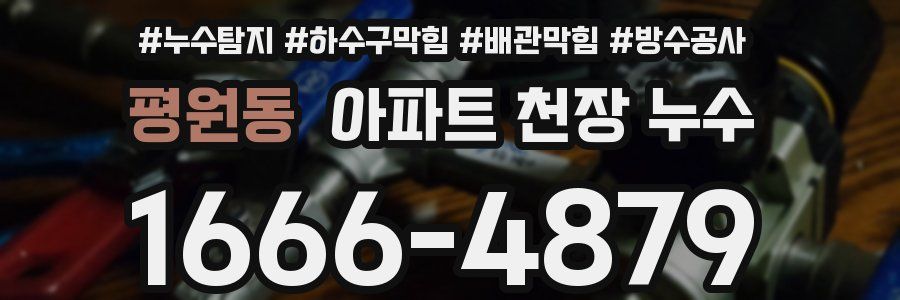 평원동 아파트 천장 누수