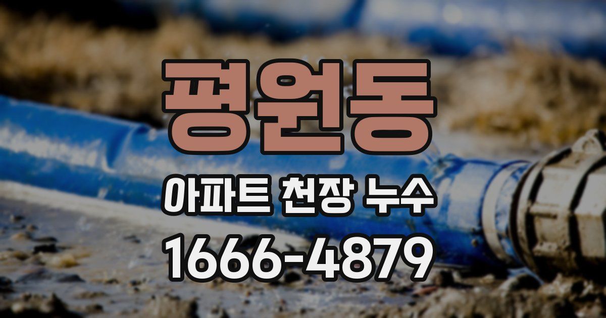 평원동 아파트 천장 누수