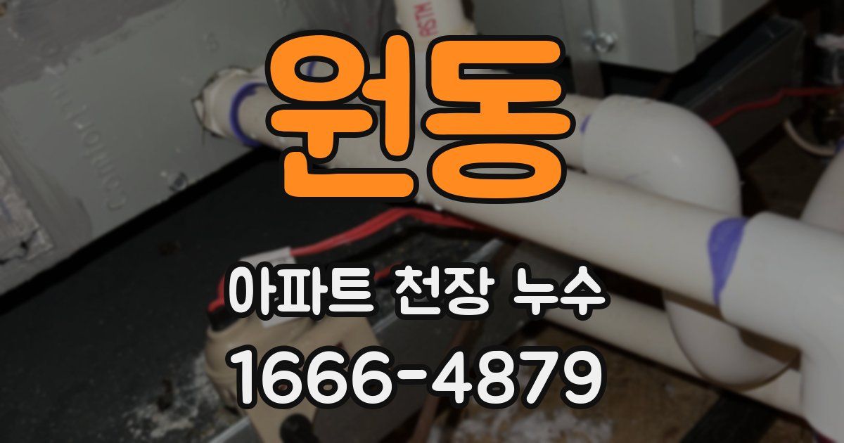 원동 아파트 천장 누수