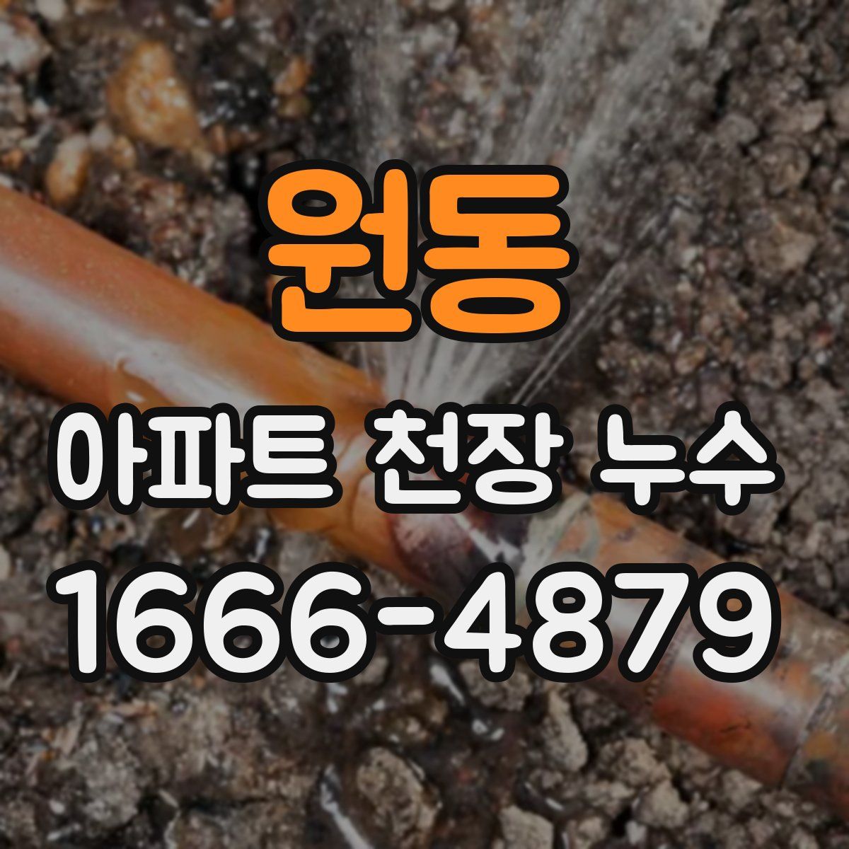 원동 아파트 천장 누수