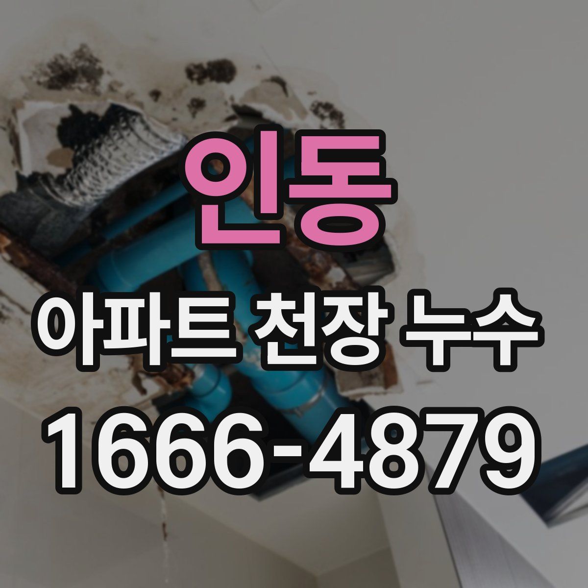 인동 아파트 천장 누수