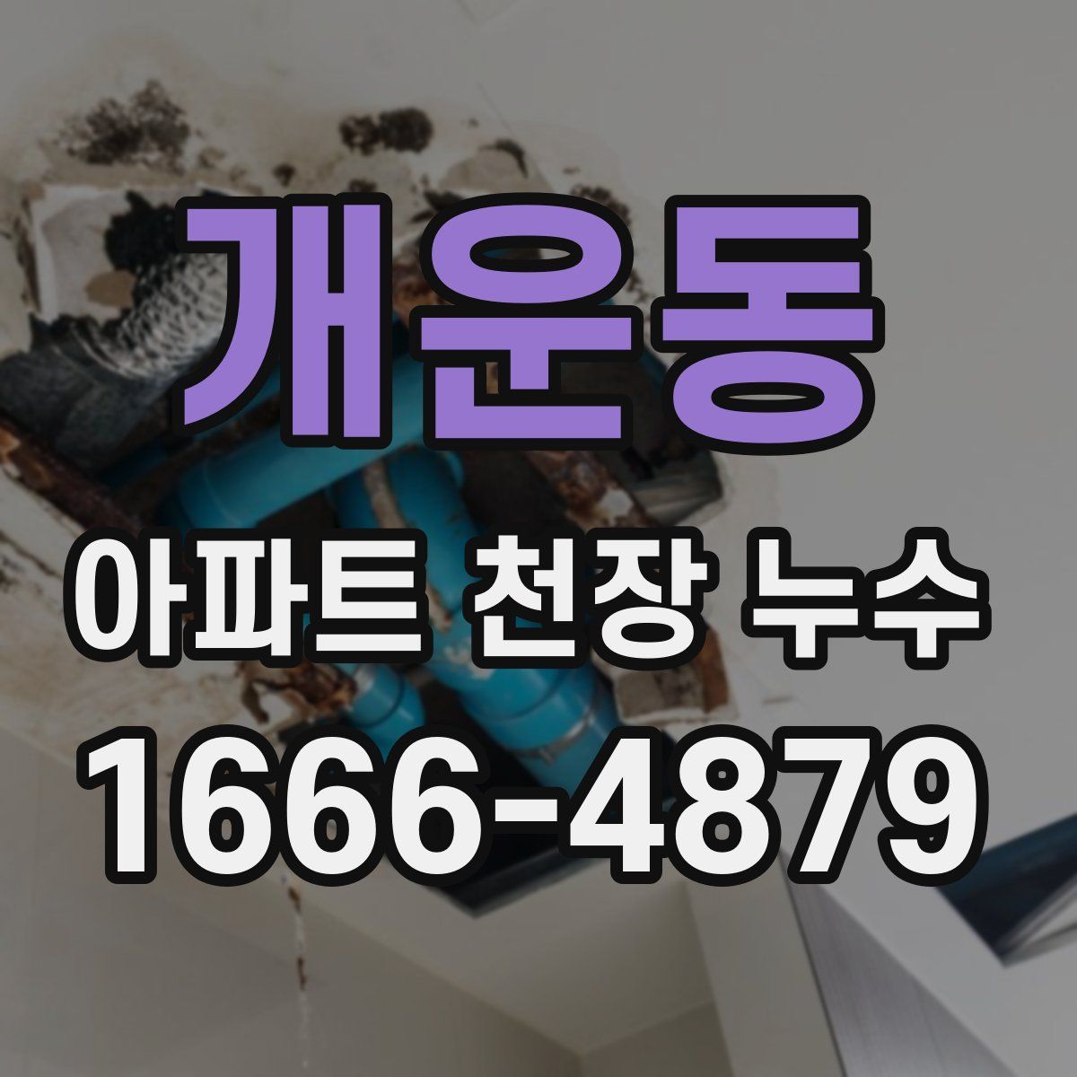 개운동 아파트 천장 누수