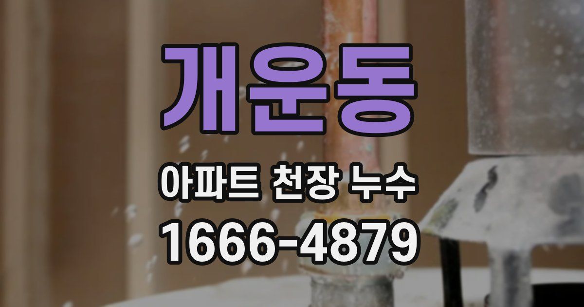 개운동 아파트 천장 누수