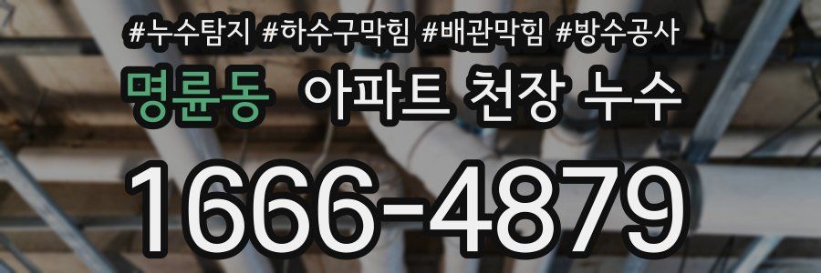 명륜동 아파트 천장 누수