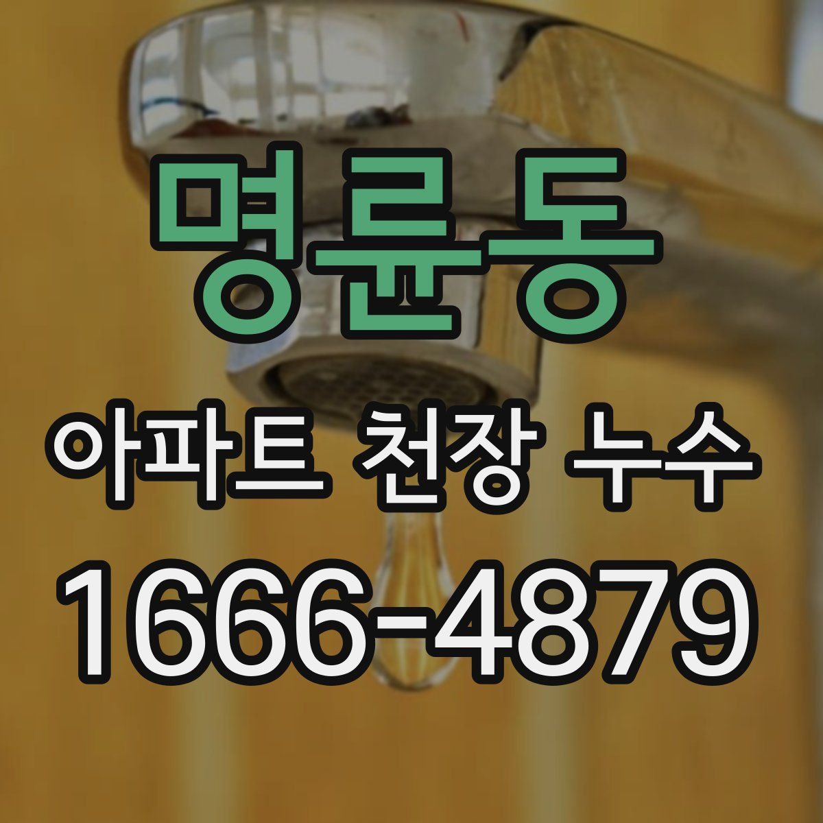 명륜동 아파트 천장 누수