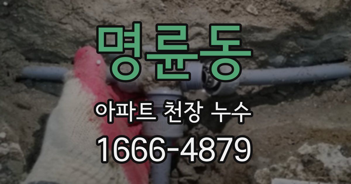 명륜동 아파트 천장 누수